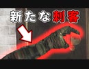 【実況】生物災害から生き延びます。クリス編#11【初代バイオハザード】