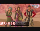 砂漠の殺し屋とへっぽこ王子【ドラゴンクエスト11S】縛り初見プレイ＃15
