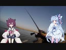 キス釣り！ベイトでちょい投げと投げ釣り。
