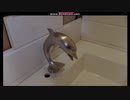 【ここを我が家とする!!】これが私のマイホーム!!