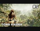 【シャドウオブザトゥームレイダー 】生ける者の道#5(実況動画)