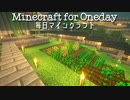 毎日マインクラフト - Day530 和風建築の柱を建てる