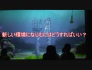 新しい環境になじむにはどうすればいい？【タートルトーク】東京ディズニーシー