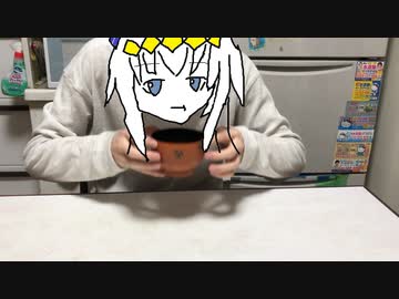 ウマ娘のヒミツをやってみた その2