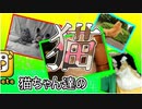 【bokete】猫のボケてあつめてみたった【#4】