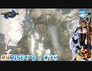 【実況】MHRISEやる！【35】