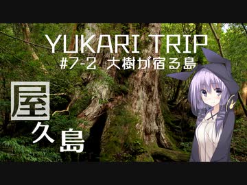 YUKARITRIP #7-2 【大樹が宿る島】