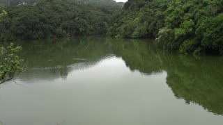 【旅Log】とある島の緑の池【心が休まる風景】