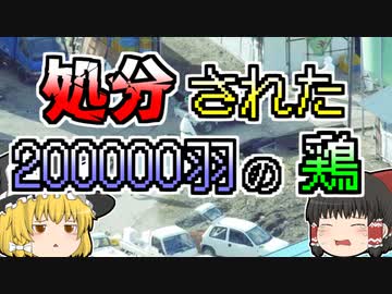 【2004年】一日に千羽も亡くなっていた鶏たち。しかし、養鶏場主はそのことを隠し続け･･･『鳥インフルエンザ』