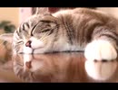 続・好きな音楽テーマ別うｐ・天少女編Ⅻ