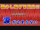 【MHS2】うわあああ懐かしいいいいいいPart3