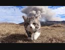 ワンネス　みなもとひとつ　１１－２