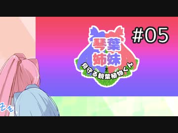 【琴葉姉妹とライサント島の伝説】琴葉姉妹を見守る観葉植物くん05【琴葉姉妹実況】