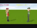 ポケモンセレナの旅その21