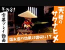 【サクナヒメ】天穂のサクナヒメを初見プレイ！part31【字幕】