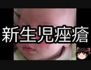 【ゆっくり朗読】ゆっくりさんと不思議な病気 その385