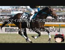 【競馬】ゆっくりさんと未来に語り継ぎたい名馬たち その035【ゆっくり朗読】