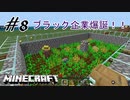 ＃8 モラルとは何かを問われるパート～其の二～【マインクラフト】