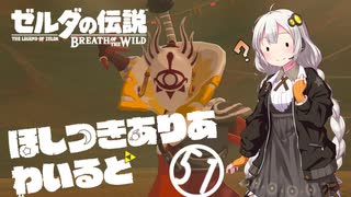 【ゼルダの伝説BotW】ほしつきありあわいるどPart51【VOICeVI実況】