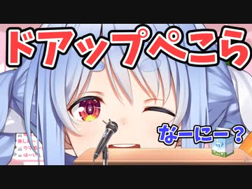 可愛すぎるドアップぺこちゃん【兎田ぺこら】