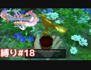 急に作る事になったわりには、めちゃめちゃ凝ったビン使ってる件について【ドラゴンクエスト11S】縛り初見プレイ＃18
