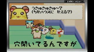 人気の とっとこハム太郎4 にじいろ大行進でちゅ 動画 11本 ニコニコ動画
