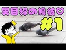 鳩と恋する5秒前。【はーとふる彼氏】part1