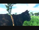 2021/07/17放送【106日目 北海道 釧路 昼のあずにゃんぽ（猫散歩）】北海道全市町村制覇するまで帰れまてん！　猫と車中泊の旅　日本縦断【旅猫あずき～保護猫から旅猫へ～】