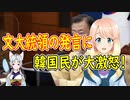 【韓国の反応】自ら会わないと言っておいて、いつでも会える？文大統領がおかしな事を言い始めたと韓国さんが大騒ぎ【世界の〇〇にゅーす】