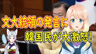 【韓国の反応】自ら会わないと言っておいて、いつでも会える？文大統領がおかしな事を言い始めたと韓国さんが大騒ぎ【世界の〇〇にゅーす】
