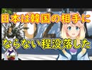 「日本は韓国の相手にならないほど没落」「韓国が日本を超えるのも時間の問題だね」【世界の〇〇にゅーす】