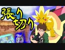 【ポケモン剣盾】ヤケモン達と楽しむランクバトル【ヤッチラゴン】