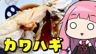 【カワハギの煮付け】「茜ちゃんが美味いと思うまで」R〇A 43:04  WR