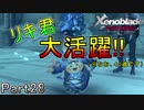 【広大な空と大地を冒険】ゼノブレイド・DE【初見実況】Part28