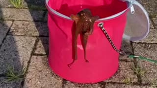 人気の Ucシリーズ 動画 77本 ニコニコ動画