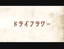 ドライフラワーcover高音質 kana &Oじろう