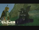 思うがままに旅をする【ゼルダの伝説 BotW】Part 7