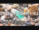 『石集めにはまっていた』 ホラーテラー　TTS怪談朗読