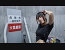 【朱猫】一心不乱 踊ってみた【N推し!!】
