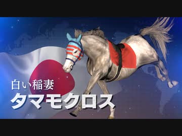 凱旋門デカスギ.WP9 2021 第9R(1987～1988)