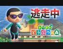 【あつ森】逃走中を森でやってみた 海水浴編 inシャガールのリ島【実況】あつまれどうぶつの森