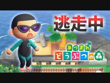 【あつ森】逃走中を森でやってみた 海水浴編 inシャガールのリ島【実況】あつまれどうぶつの森