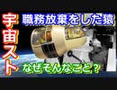 【ゆっくり解説】なぜ宇宙で職務放棄！？　ストライキを起こした宇宙生物の末路