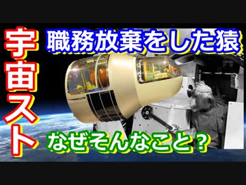 【ゆっくり解説】なぜ宇宙で職務放棄！？　ストライキを起こした宇宙生物の末路