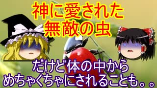 実は敵がほぼいないテントウムシ、ゾンビ化させる相手がグロ過ぎた！？