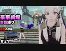 【女性のみ出撃 ハード クラシック】【黒鷲の学級】DDのファイアーエムブレム 風花雪月 (17章) ＃21