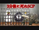 【SCPが紹介する】タイムアタック part1【SCP】