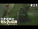 【ゼルダの伝説ブレスオブザワイルド】壊してまえこんな像【実況プレイ】#23