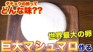 世界最大のダチョウの卵で特大マシュマロ作ります！！