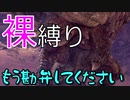 【MHWI実況】強すぎて心折れそう。下位ディアブロスを裸チャージアックスで攻略【2人でモンハン裸生活】